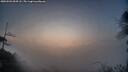 ./images/calvert/fitz-hugh-hecate/20250503/fitz-hugh-hecate20250503_054508M.jpg