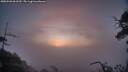 ./images/calvert/fitz-hugh-hecate/20250503/fitz-hugh-hecate20250503_061510M.jpg