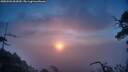./images/calvert/fitz-hugh-hecate/20250503/fitz-hugh-hecate20250503_062009M.jpg