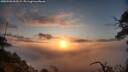 ./images/calvert/fitz-hugh-hecate/20250503/fitz-hugh-hecate20250503_063509M.jpg