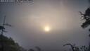 ./images/calvert/fitz-hugh-hecate/20250503/fitz-hugh-hecate20250503_065010M.jpg