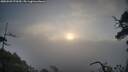 ./images/calvert/fitz-hugh-hecate/20250503/fitz-hugh-hecate20250503_070510M.jpg