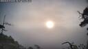./images/calvert/fitz-hugh-hecate/20250503/fitz-hugh-hecate20250503_071510M.jpg