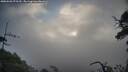 ./images/calvert/fitz-hugh-hecate/20250503/fitz-hugh-hecate20250503_072510M.jpg