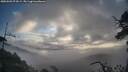 ./images/calvert/fitz-hugh-hecate/20250503/fitz-hugh-hecate20250503_074509M.jpg