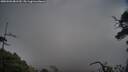 ./images/calvert/fitz-hugh-hecate/20250503/fitz-hugh-hecate20250503_081510M.jpg