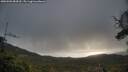 ./images/calvert/fitz-hugh-hecate/20250503/fitz-hugh-hecate20250503_084510M.jpg