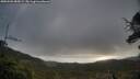 ./images/calvert/fitz-hugh-hecate/20250503/fitz-hugh-hecate20250503_085009M.jpg