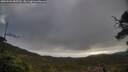 ./images/calvert/fitz-hugh-hecate/20250503/fitz-hugh-hecate20250503_085510M.jpg