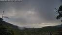./images/calvert/fitz-hugh-hecate/20250503/fitz-hugh-hecate20250503_091010M.jpg