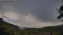 ./images/calvert/fitz-hugh-hecate/20250503/fitz-hugh-hecate20250503_091510M.jpg