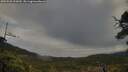 ./images/calvert/fitz-hugh-hecate/20250503/fitz-hugh-hecate20250503_092010M.jpg