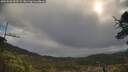 ./images/calvert/fitz-hugh-hecate/20250503/fitz-hugh-hecate20250503_092509M.jpg