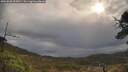 ./images/calvert/fitz-hugh-hecate/20250503/fitz-hugh-hecate20250503_093011M.jpg