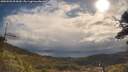 ./images/calvert/fitz-hugh-hecate/20250503/fitz-hugh-hecate20250503_094509M.jpg