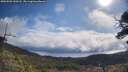 ./images/calvert/fitz-hugh-hecate/20250503/fitz-hugh-hecate20250503_100507M.jpg
