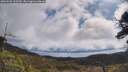 ./images/calvert/fitz-hugh-hecate/20250503/fitz-hugh-hecate20250503_103509M.jpg