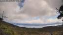./images/calvert/fitz-hugh-hecate/20250503/fitz-hugh-hecate20250503_104510M.jpg