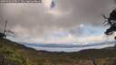 ./images/calvert/fitz-hugh-hecate/20250503/fitz-hugh-hecate20250503_105009M.jpg