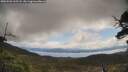 ./images/calvert/fitz-hugh-hecate/20250503/fitz-hugh-hecate20250503_105508M.jpg