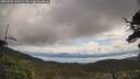 ./images/calvert/fitz-hugh-hecate/20250503/fitz-hugh-hecate20250503_110508M.jpg
