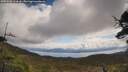 ./images/calvert/fitz-hugh-hecate/20250503/fitz-hugh-hecate20250503_111010M.jpg