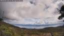 ./images/calvert/fitz-hugh-hecate/20250503/fitz-hugh-hecate20250503_112509M.jpg