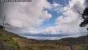 ./images/calvert/fitz-hugh-hecate/20250503/fitz-hugh-hecate20250503_113509M.jpg