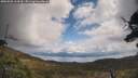 ./images/calvert/fitz-hugh-hecate/20250503/fitz-hugh-hecate20250503_114509M.jpg