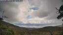 ./images/calvert/fitz-hugh-hecate/20250503/fitz-hugh-hecate20250503_115009M.jpg