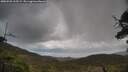./images/calvert/fitz-hugh-hecate/20250503/fitz-hugh-hecate20250503_115509M.jpg