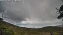 ./images/calvert/fitz-hugh-hecate/20250503/fitz-hugh-hecate20250503_120011M.jpg