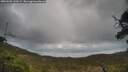 ./images/calvert/fitz-hugh-hecate/20250503/fitz-hugh-hecate20250503_120508M.jpg