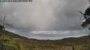 ./images/calvert/fitz-hugh-hecate/20250503/fitz-hugh-hecate20250503_121009M.jpg