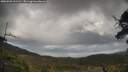 ./images/calvert/fitz-hugh-hecate/20250503/fitz-hugh-hecate20250503_121510M.jpg