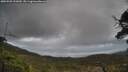 ./images/calvert/fitz-hugh-hecate/20250503/fitz-hugh-hecate20250503_122010M.jpg