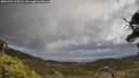 ./images/calvert/fitz-hugh-hecate/20250503/fitz-hugh-hecate20250503_122509M.jpg
