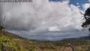 ./images/calvert/fitz-hugh-hecate/20250503/fitz-hugh-hecate20250503_123009M.jpg