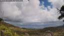 ./images/calvert/fitz-hugh-hecate/20250503/fitz-hugh-hecate20250503_123507M.jpg