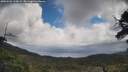 ./images/calvert/fitz-hugh-hecate/20250503/fitz-hugh-hecate20250503_125009M.jpg