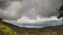 ./images/calvert/fitz-hugh-hecate/20250503/fitz-hugh-hecate20250503_130011M.jpg