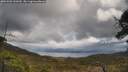 ./images/calvert/fitz-hugh-hecate/20250503/fitz-hugh-hecate20250503_130510M.jpg