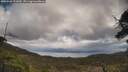 ./images/calvert/fitz-hugh-hecate/20250503/fitz-hugh-hecate20250503_131010M.jpg