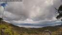 ./images/calvert/fitz-hugh-hecate/20250503/fitz-hugh-hecate20250503_131510M.jpg