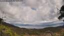 ./images/calvert/fitz-hugh-hecate/20250503/fitz-hugh-hecate20250503_132509M.jpg