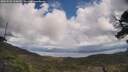 ./images/calvert/fitz-hugh-hecate/20250503/fitz-hugh-hecate20250503_133010M.jpg