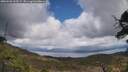 ./images/calvert/fitz-hugh-hecate/20250503/fitz-hugh-hecate20250503_133509M.jpg