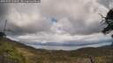 ./images/calvert/fitz-hugh-hecate/20250503/fitz-hugh-hecate20250503_134010M.jpg
