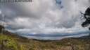 ./images/calvert/fitz-hugh-hecate/20250503/fitz-hugh-hecate20250503_134510M.jpg