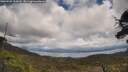 ./images/calvert/fitz-hugh-hecate/20250503/fitz-hugh-hecate20250503_135010M.jpg